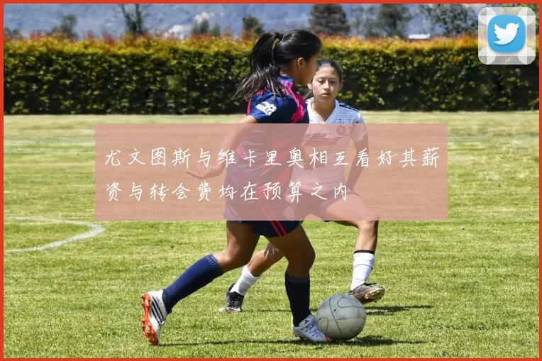 尤文图斯与维卡里奥相互看好其薪资与转会费均在预算之内